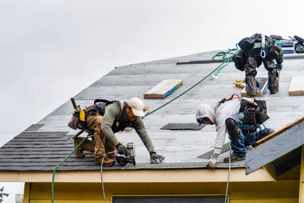Professional Roof Installation technician working in Hastings, PA